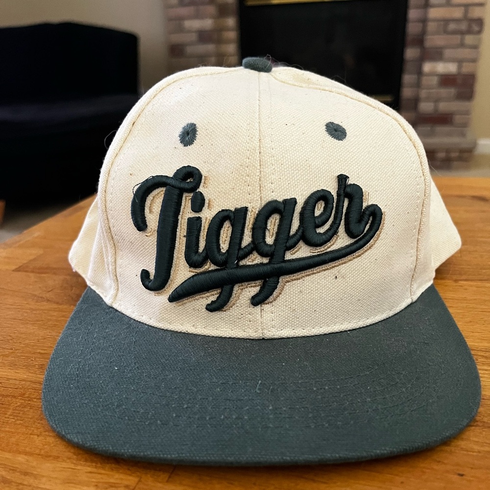 Vintage Disney Store Winnie the Pooh Tigger snap back embroidered hat green